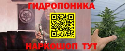гидра Бийск