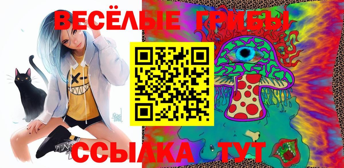 Йошкар-Ола  Псилоцибиновые грибы MAGIC MUSHROOMS  Вход с VPN 