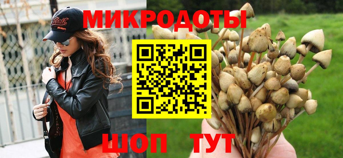 Галлюциногенные грибы Cubensis Йошкар-Ола